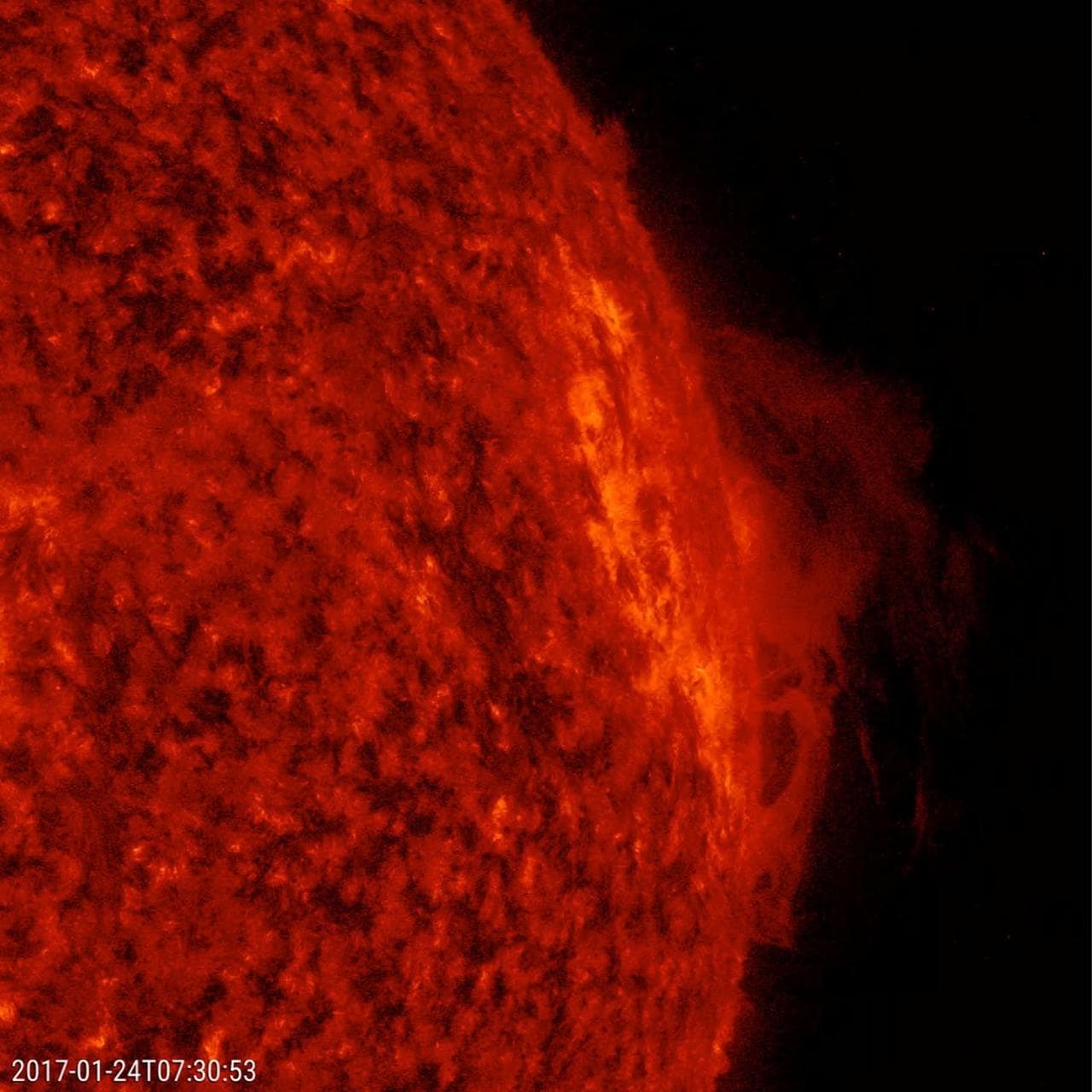 A solar prominence visible during a total eclipse or through specialised solar filters